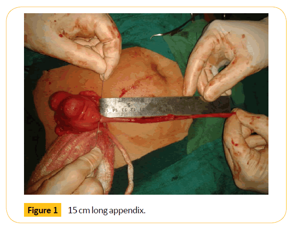 Translational-Biomedicine-appendix