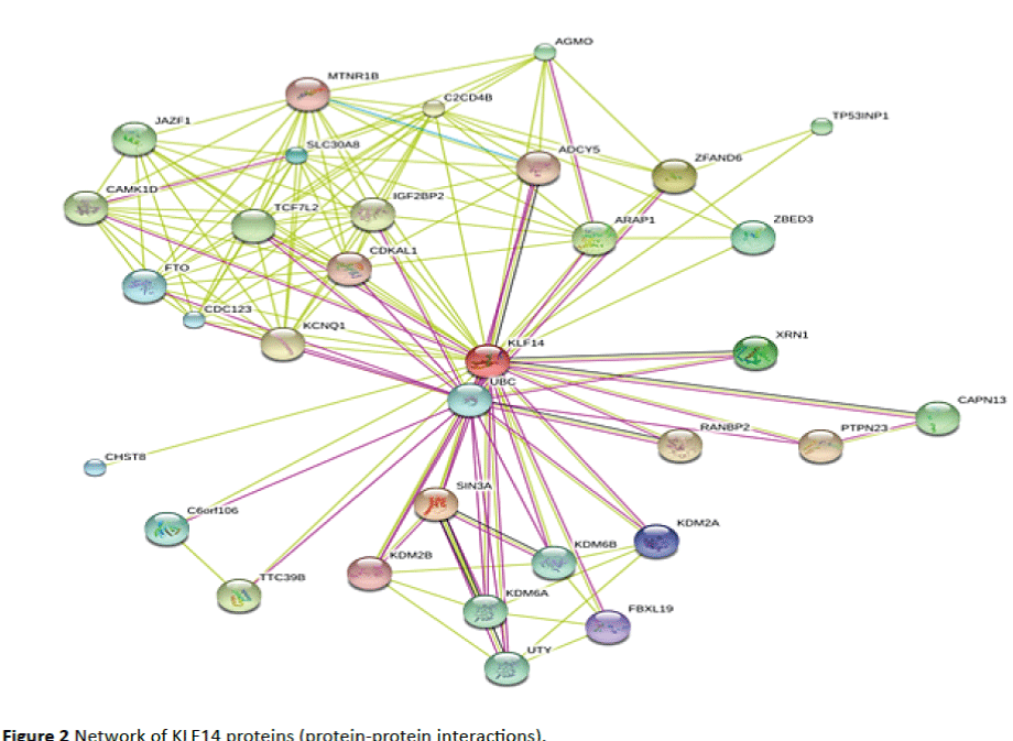 Translational-Biomedicine-protein-protein