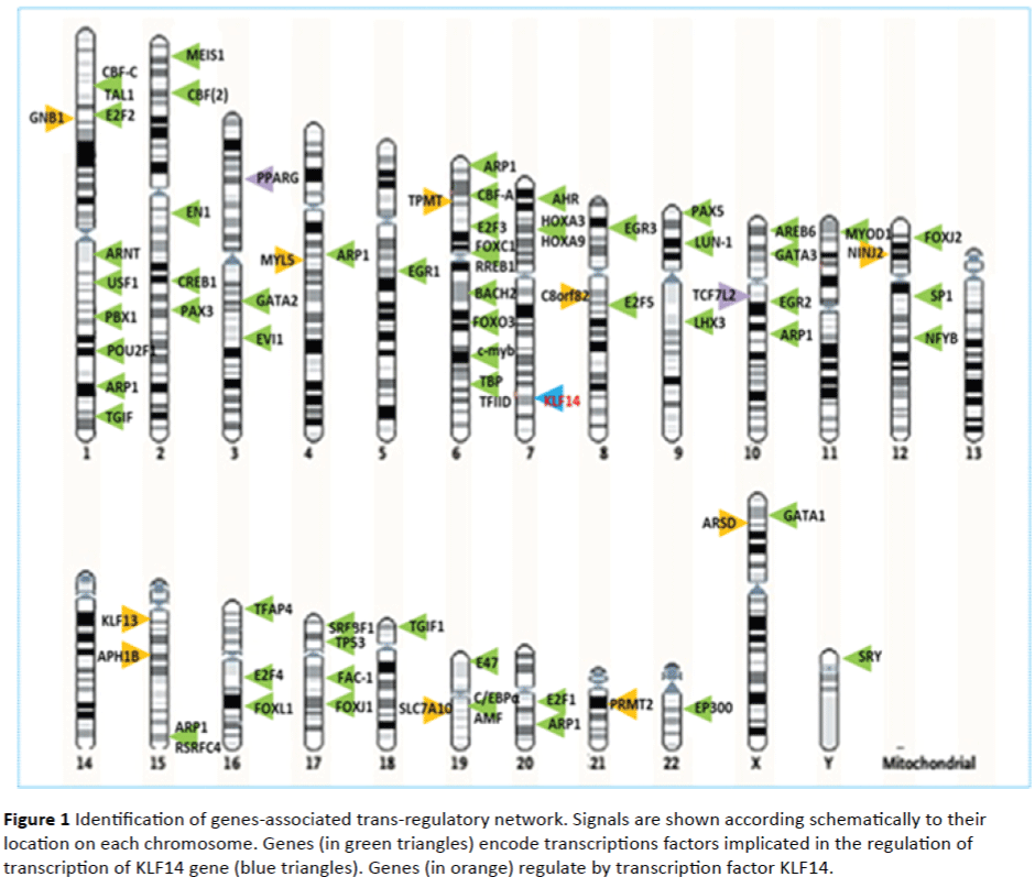 Translational-Biomedicine-trans-regulatory