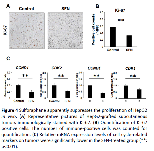 acanceresearch-immunologically