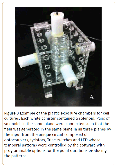 acanceresearch-plastic-exposure