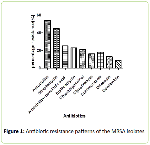 acmicrob-Antibiotic-resistance