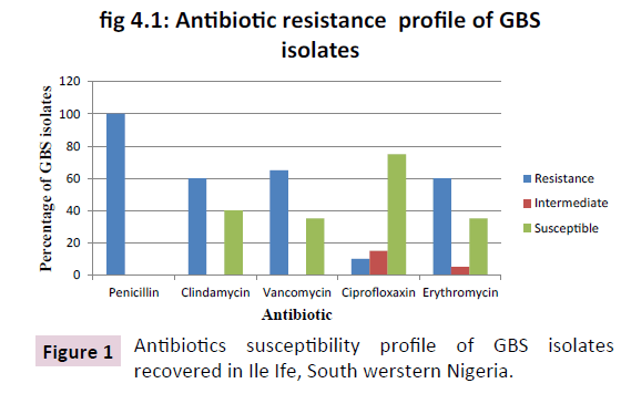 acmicrob-Antibiotics-susceptibility