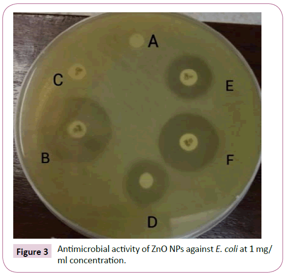 acmicrob-Antimicrobial-activity