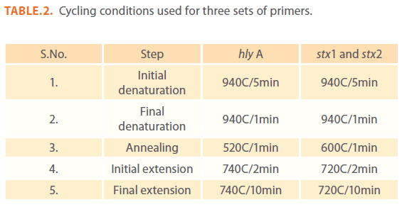 acmicrob-Cycling-conditions