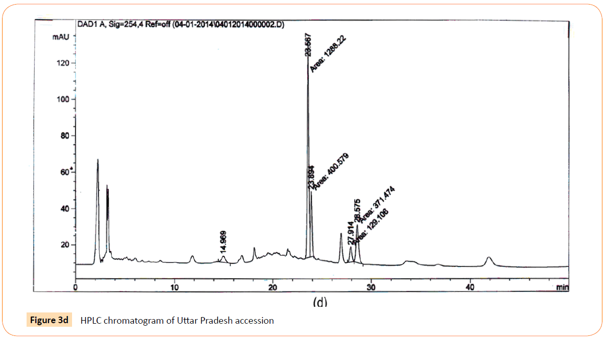 acmicrob-HPLC-chromatogram