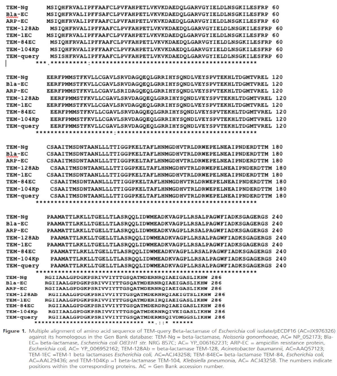 acmicrob-Multiple-alignment