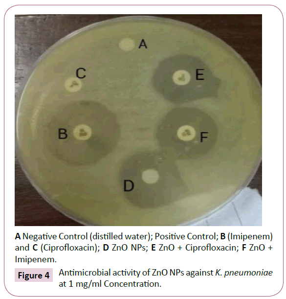 acmicrob-Negative-Control