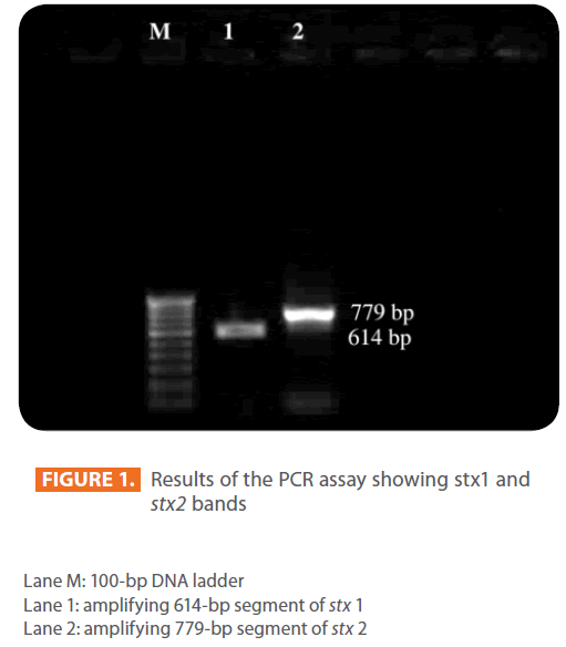 acmicrob-PCR-assay