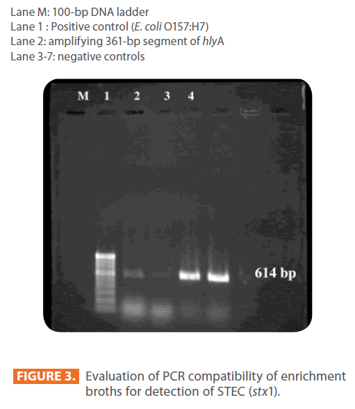 acmicrob-PCR-compatibility