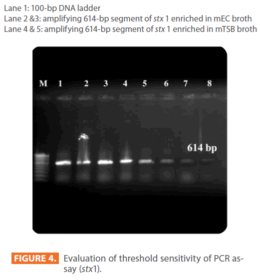 acmicrob-PCR-compatibility
