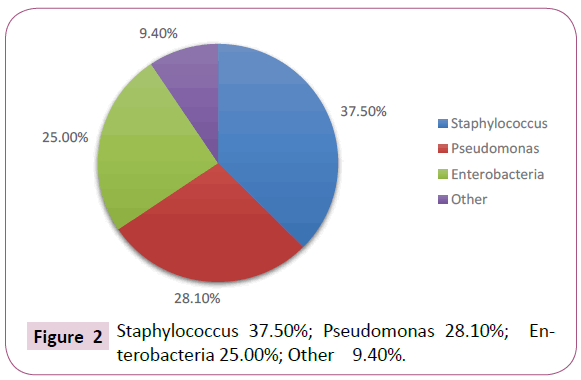 acmicrob-Pseudomonas