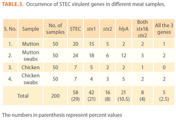 acmicrob-STEC-virulent