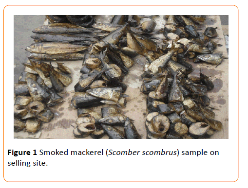 acmicrob-Smoked-mackere