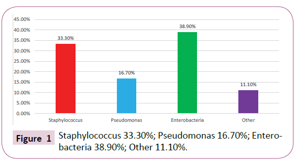 acmicrob-Staphylococcus