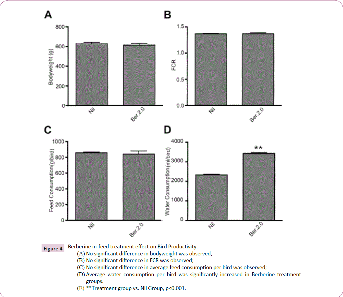 acmicrob-Treatment-group