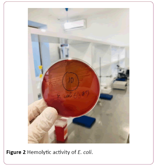 acmicrob-activity