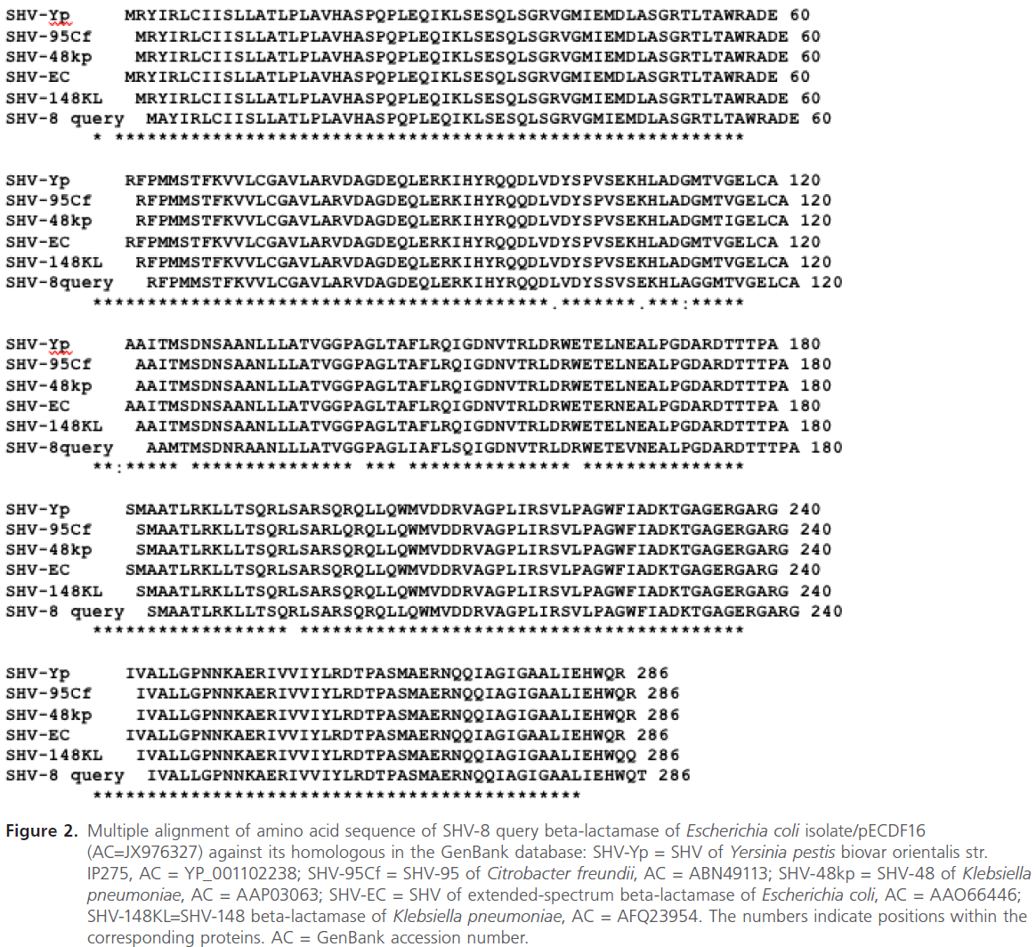 acmicrob-amino-acid