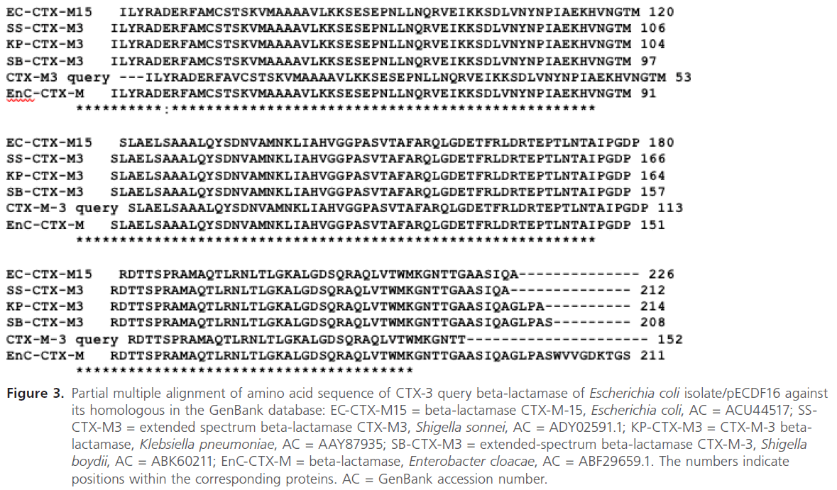 acmicrob-beta-lactamase