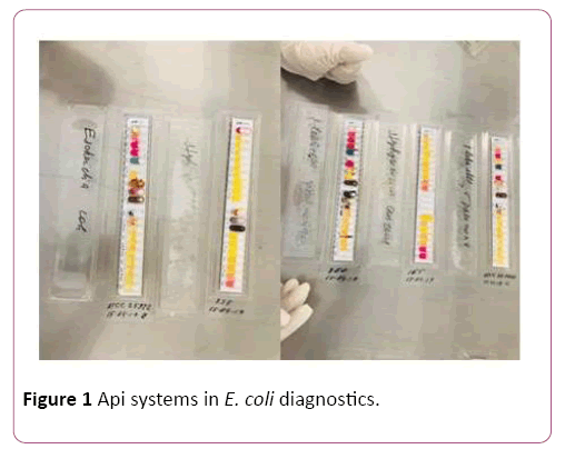 acmicrob-diagnostics