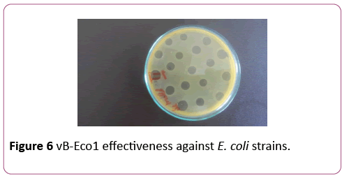 acmicrob-effectiveness