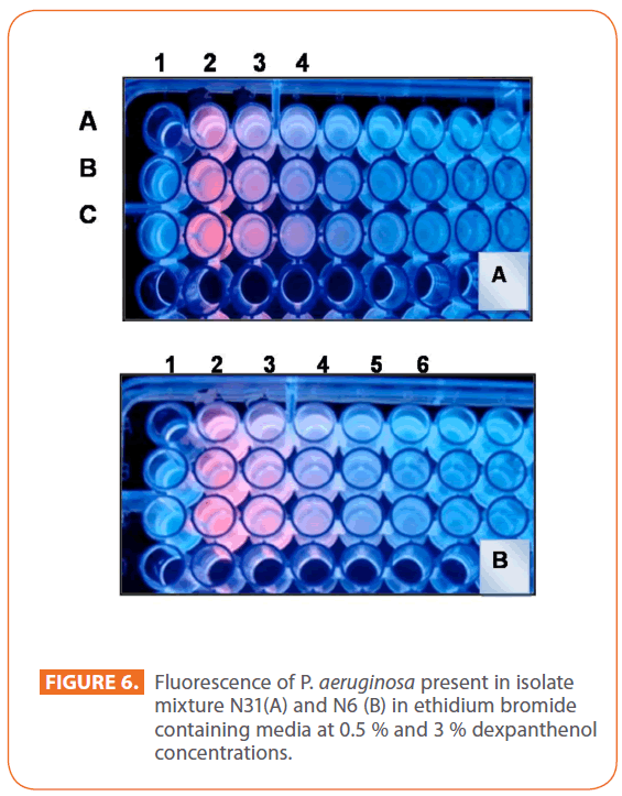 acmicrob-ethidium-bromide