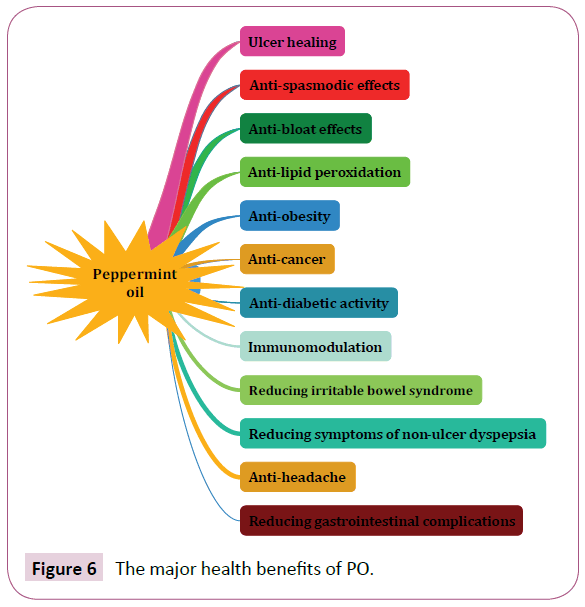 acmicrob-health-benefits