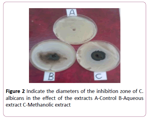 acmicrob-inhibition