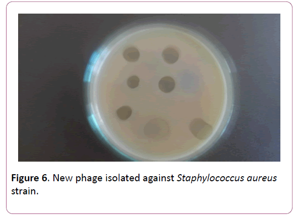 acmicrob-isolated-against