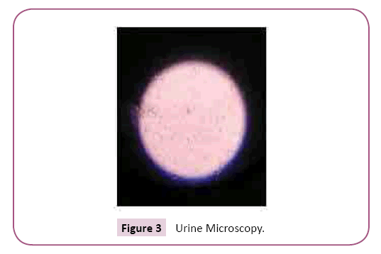 acmicrob-microscopy