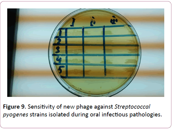 acmicrob-new-phage