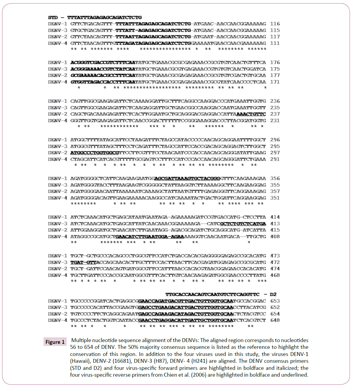 acmicrob-nucleotide-sequence