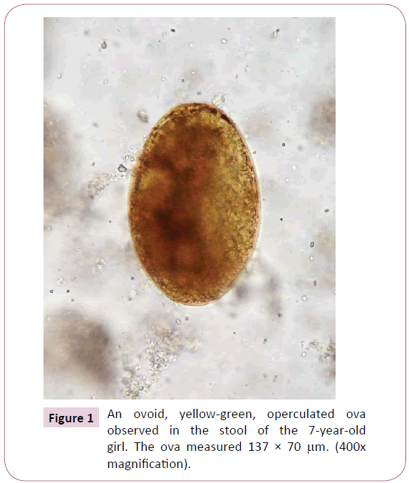 acmicrob-operculated-ova
