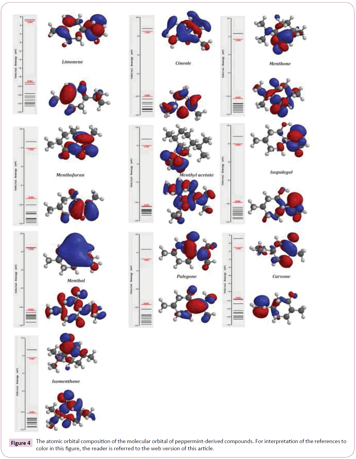 acmicrob-peppermint-derived