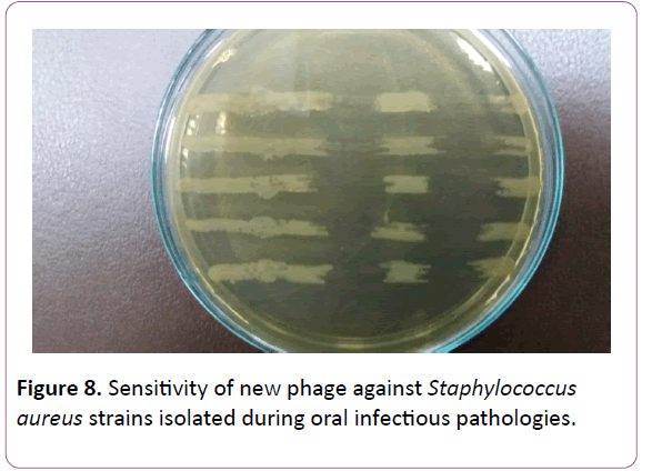 acmicrob-phage-against