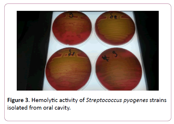 acmicrob-pyogenes-strains