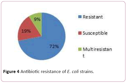 acmicrob-strains