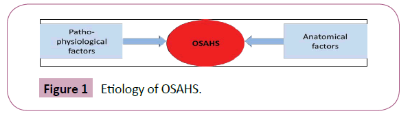 annals-clinical-Etiology-OSAHS