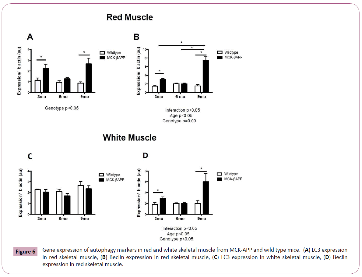 annals-clinical-laboratory-Gene-expression