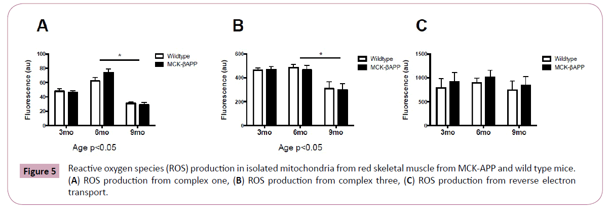 annals-clinical-laboratory-Reactive-oxygen