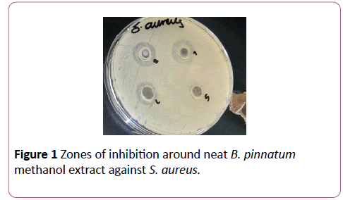 annals-clinical-laboratory-S-aureus