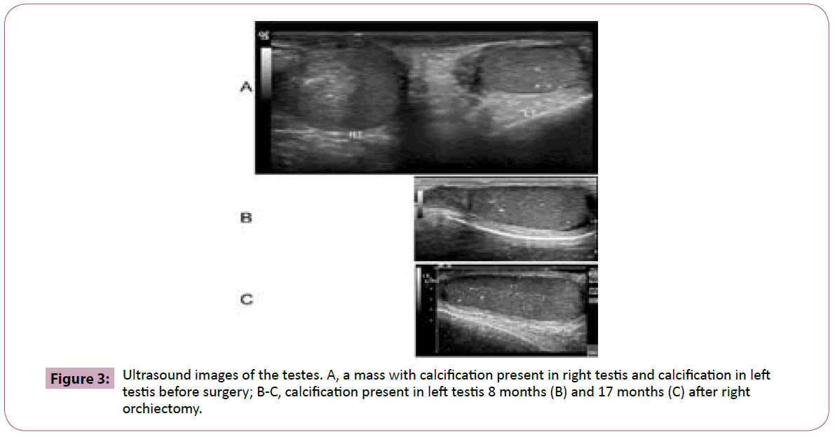 annals-clinical-laboratory-Ultrasound-images