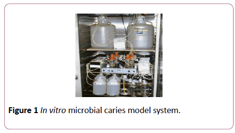 annals-clinical-laboratory-microbial-caries