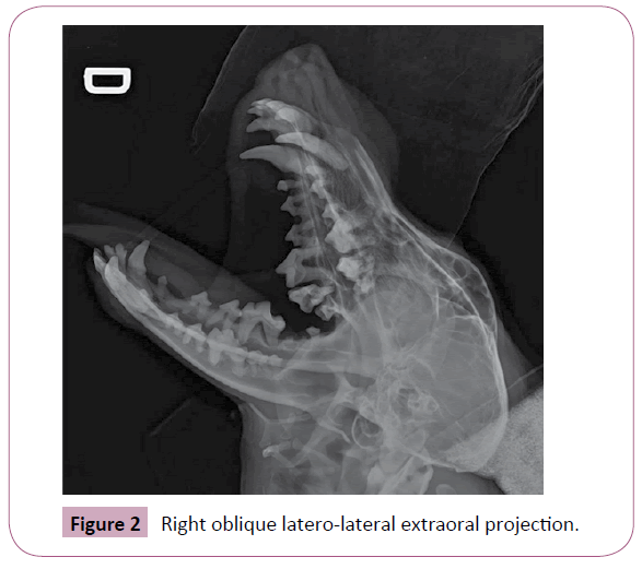 annals-clinical-laboratory-oblique-latero