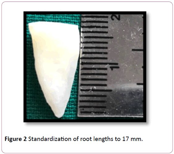 annals-clinical-laboratory-research-Standardization