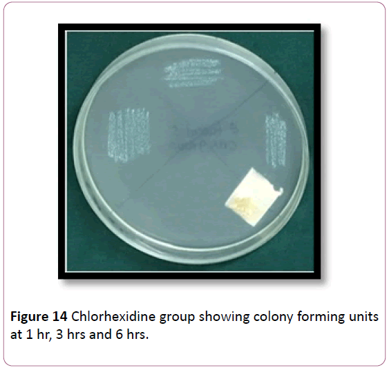 annals-clinical-laboratory-research-colony-forming