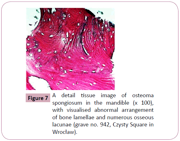 annals-clinical-laboratory-tissue-image