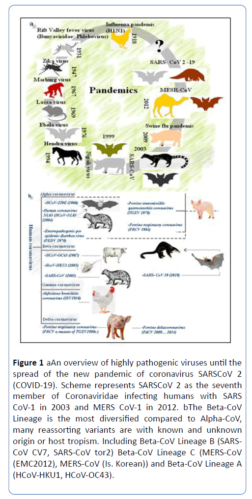 archives-medicine-coronaviridae-infecting