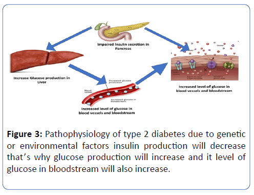 archives-medicine-glucose-production