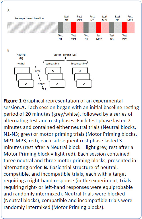 archives-medicine-graphical-representation